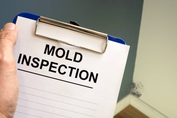 Best Real Estate Mold Inspection  in Mbria, CA